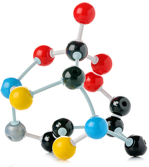 biological model of a protein molecule