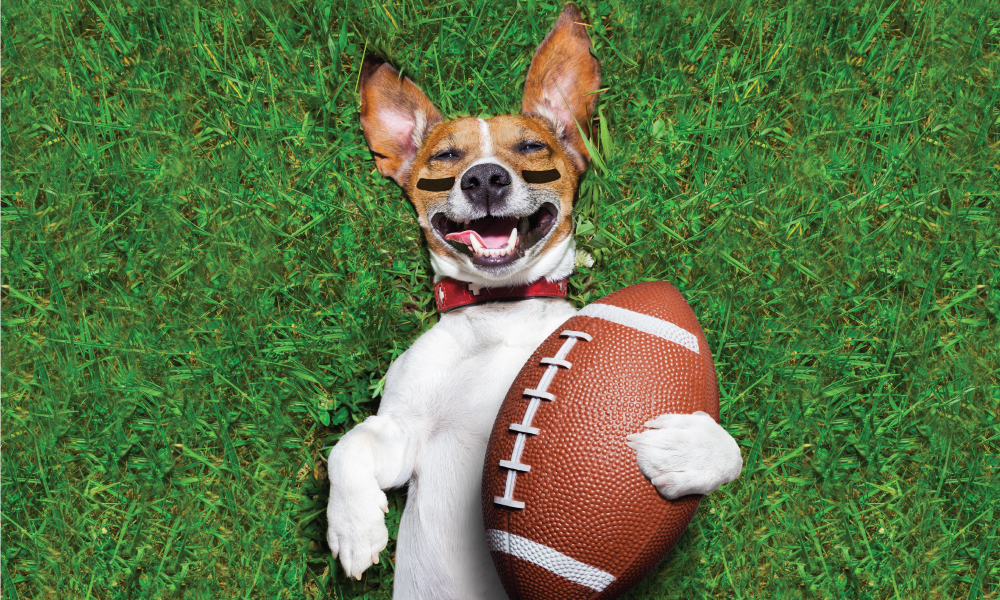 super bowl lvii dog holding football